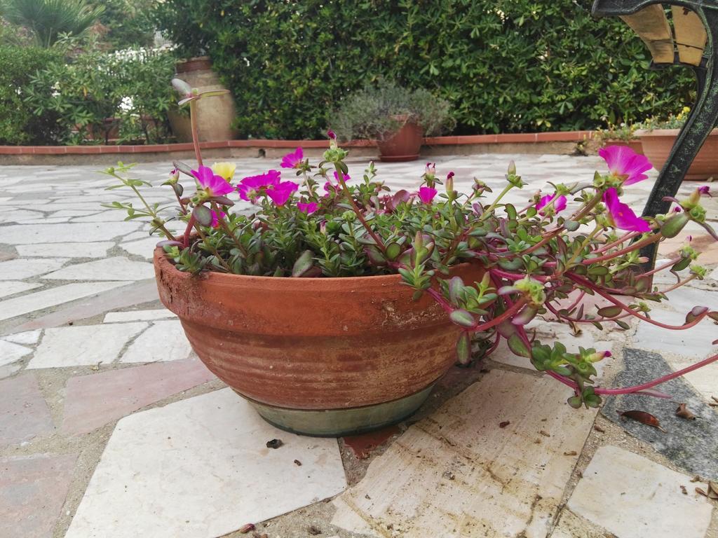 Villalba Castellammare del Golfo Eksteriør bilde